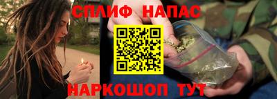 PSILOCYBIN Можга