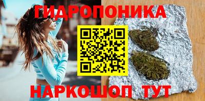 крисы Можайск