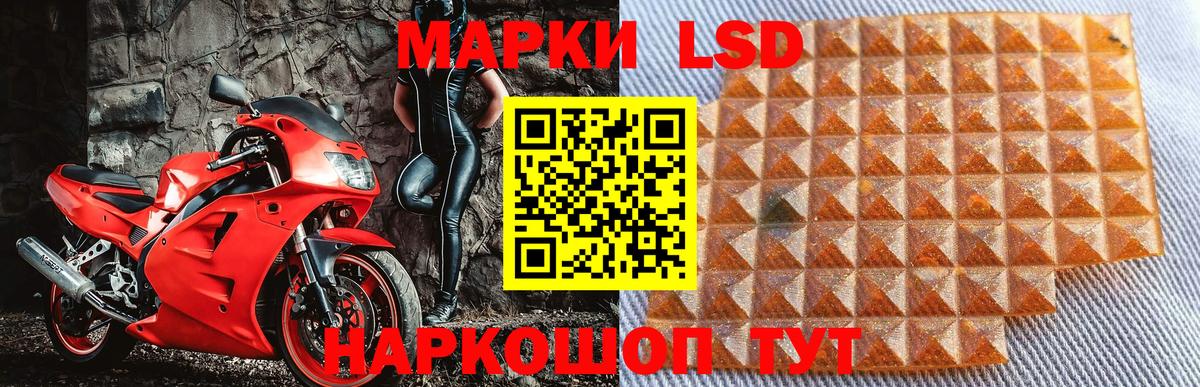 Марки N-bome 1500мкг  Вход с VPN  Дальнегорск  Марки N-bome 1500мкг 