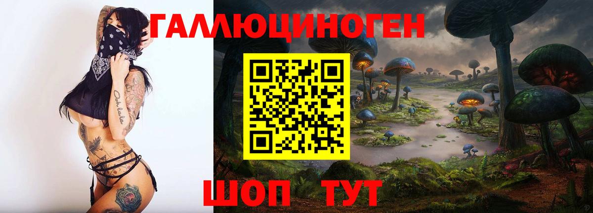 Псилоцибиновые грибы мухоморы Дальнегорск